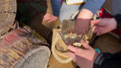 Ouschtereeër sichen am Ellergronn