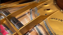 Piano Days - 01.10 - 03.10.2021