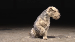 SQUATFABRIK #3 - About Play