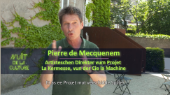 Nuit de la Culture 2021 - Pierre de Mecquenem