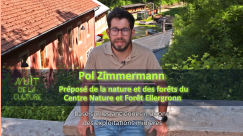 Nuit de la Culture 2021 - Pol Zimmermann