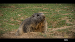 Tourism Award 2020 - Catégorie Service touristique