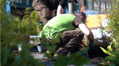 Making of du Jardin éphémère sur la Place de l'Hôtel de Ville