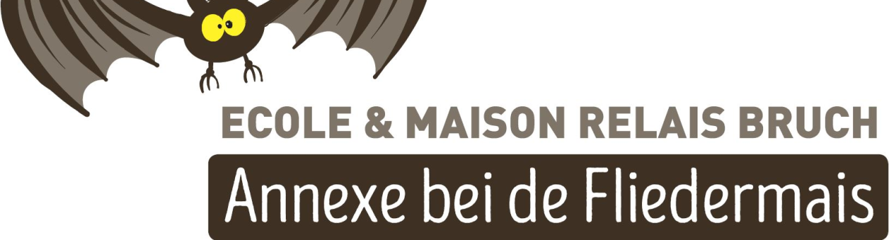 Maison Relais Bei de Fliedermais